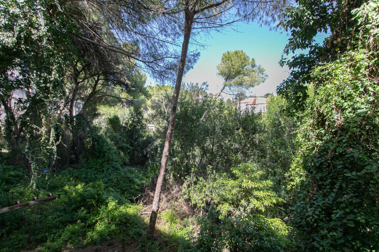 Carmel Boutique Apartments - Urban Forest حيفا المظهر الخارجي الصورة